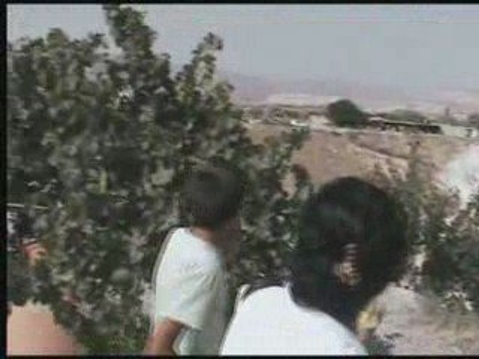 ıhlara 1