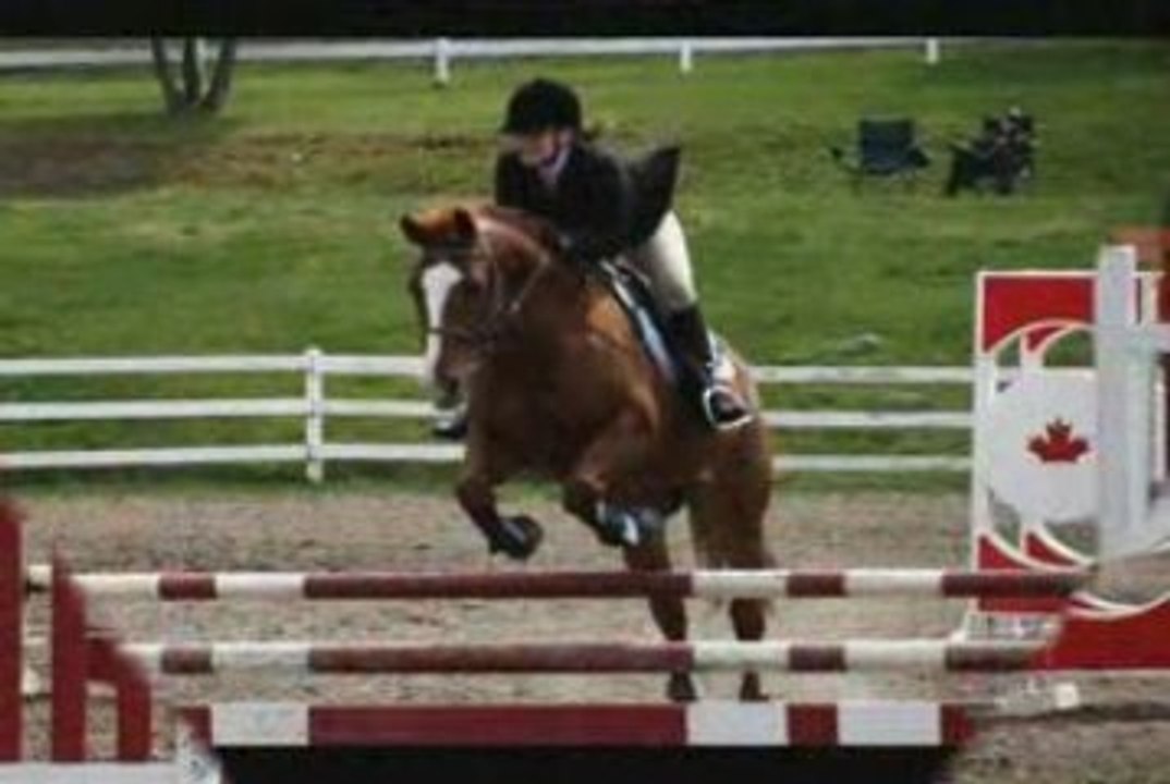 Mon évolution de 2006 à 2009