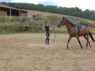 Quartz à la longe - Mieux
