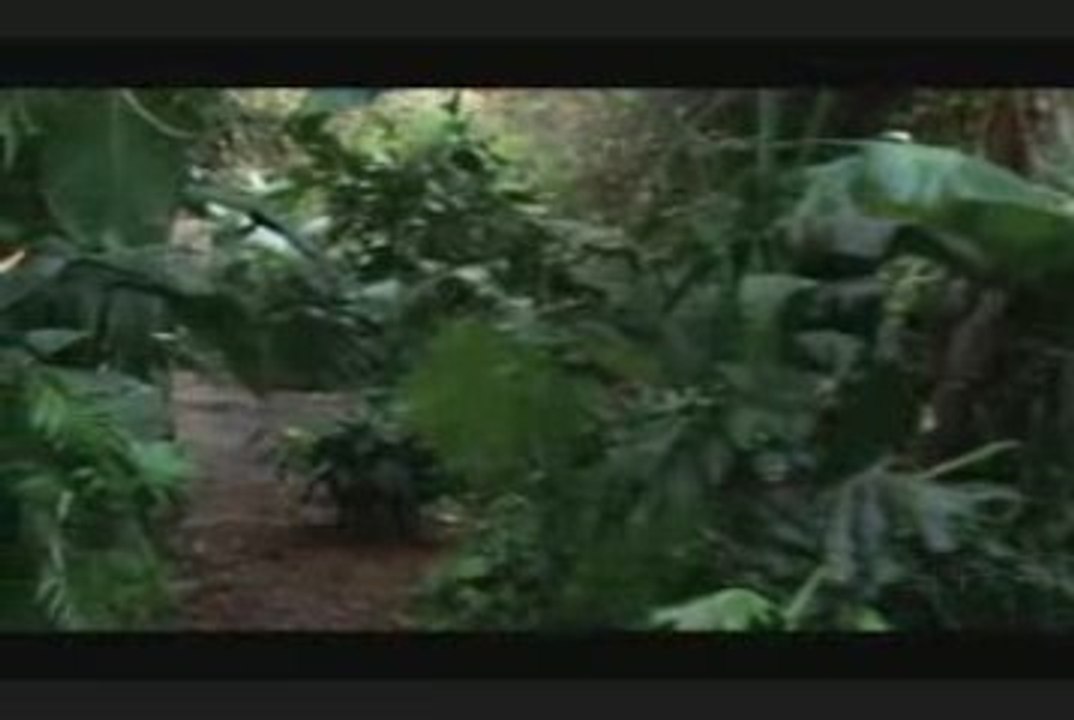 CSI GSR Volcano