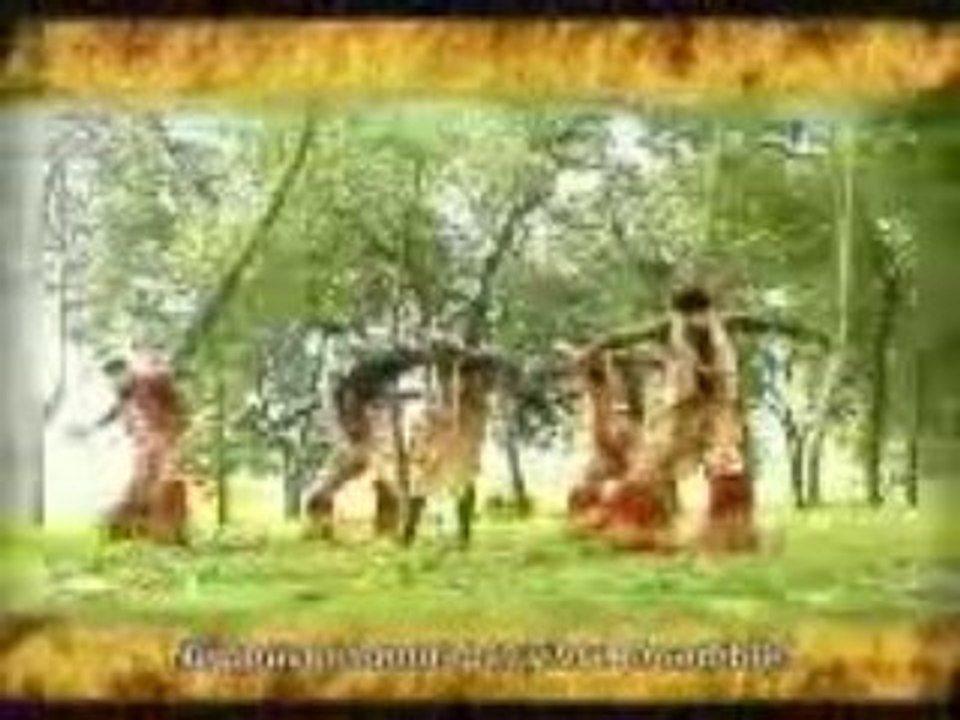 The SEEDS - halte a la guerre
