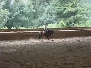 Jenny des chouans [2]