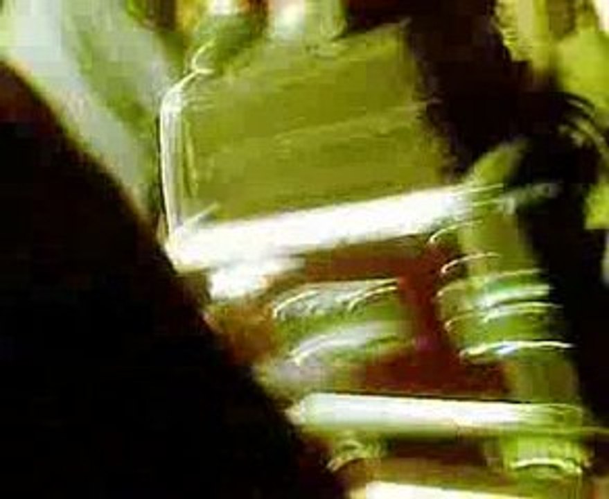 freeparty fete musique 2009, crs raid les ravers