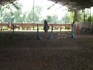 Nathalie au concours