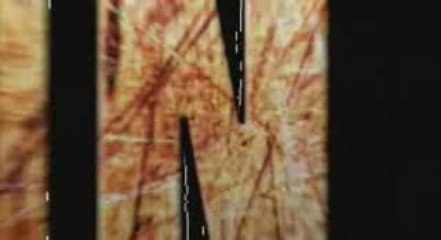 Spot TV VO - Spot TV VO