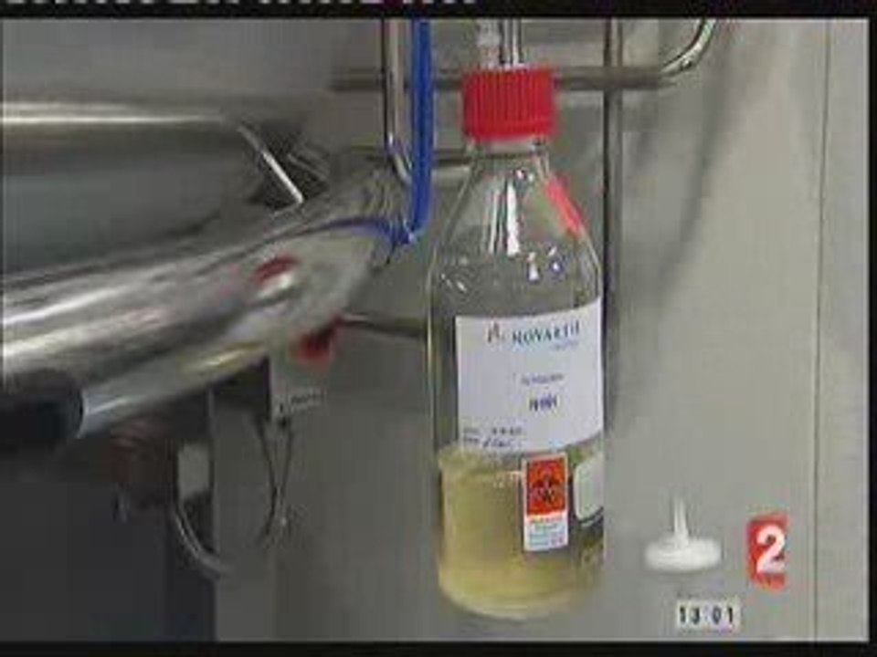 Vaccination contre la grippe du porc 1/2