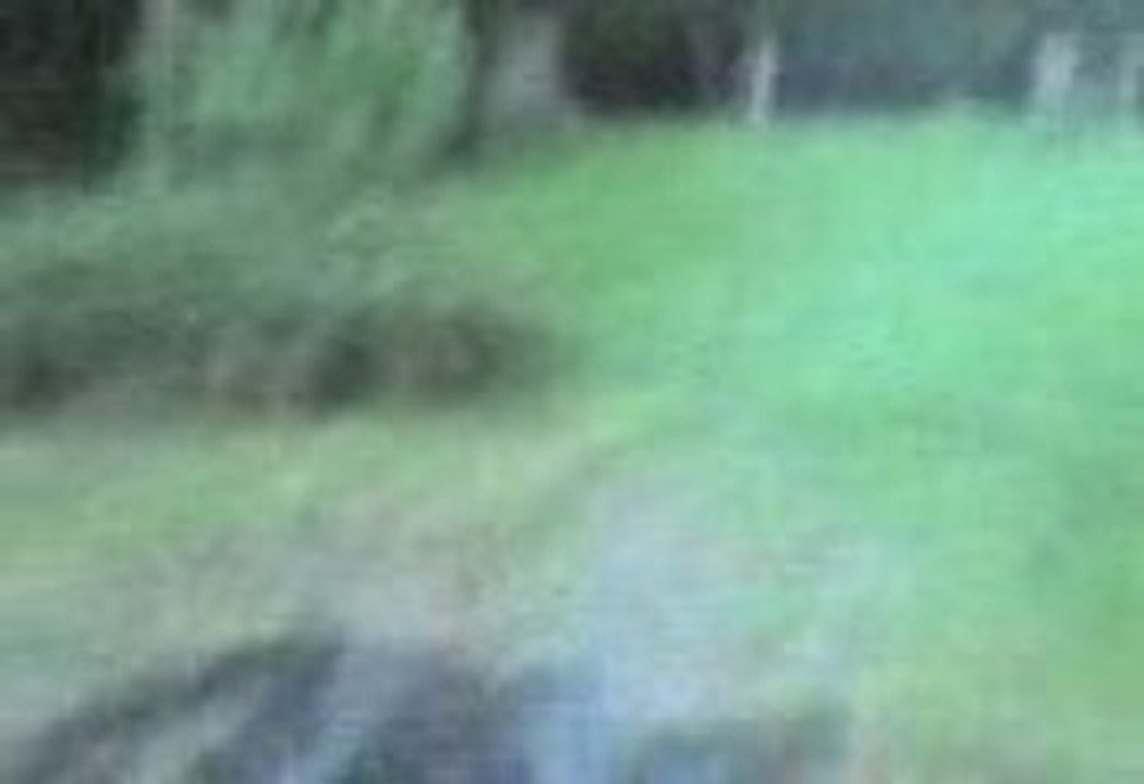 Vidéo 0584