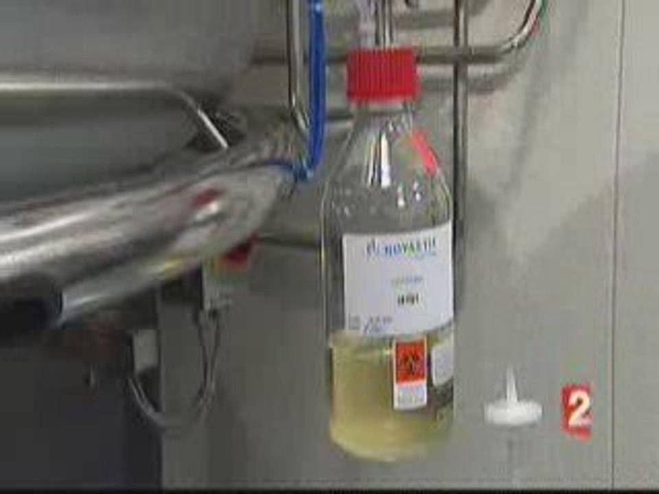 Vacination contre la grippe du porc 2/2