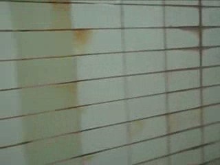 Experimental Tunnel Music in Chicago's Lincoln Park