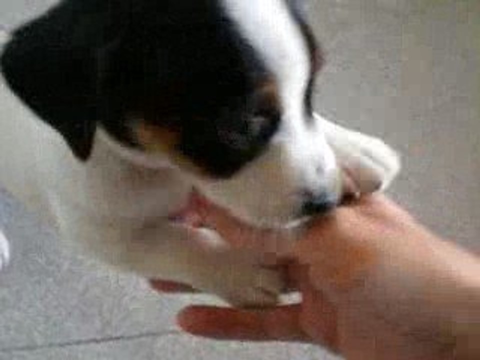 Lola