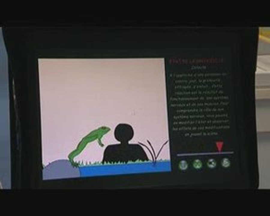 2009_SVT communication nerveuse d'une grenouille