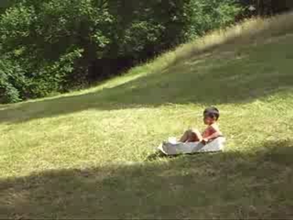 1 Basile fait dfe la luge d'été !