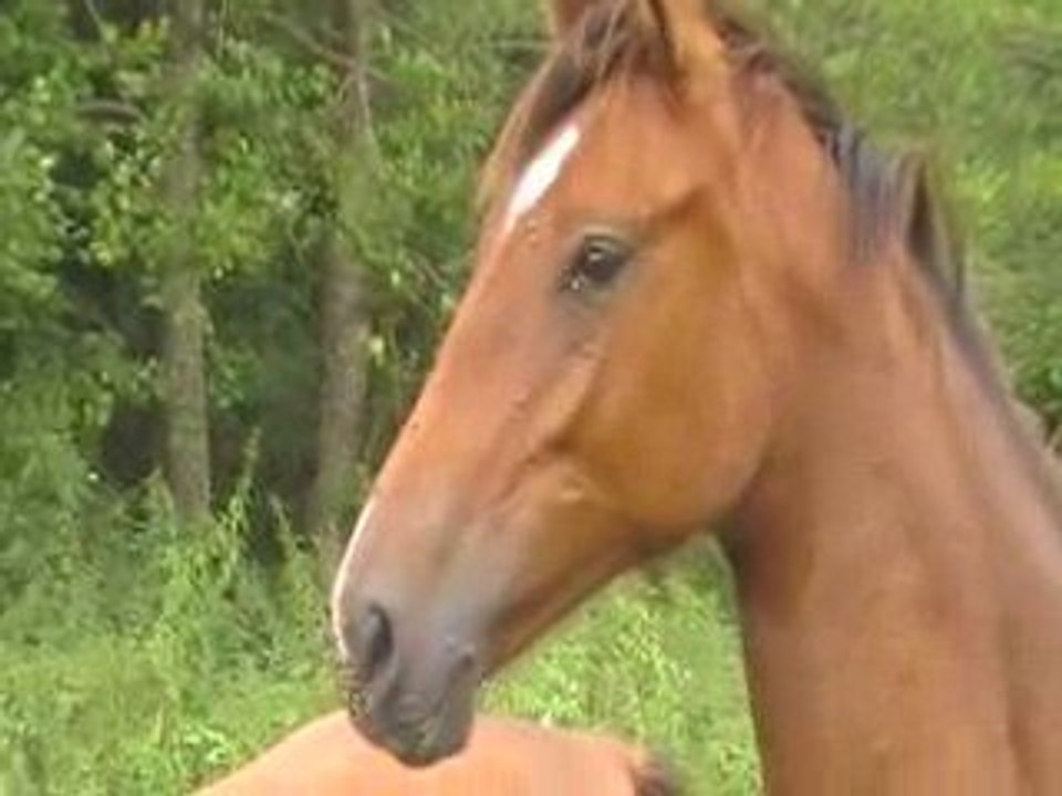 Up easy  par quite easy