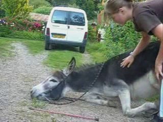 X-Vendredi: Dernière Nouvelle 📰