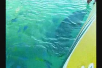 Whitsundays