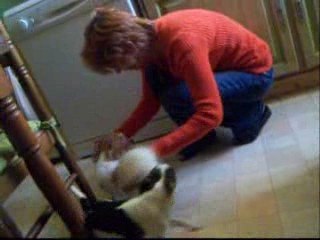 j09 juillet 2009 026