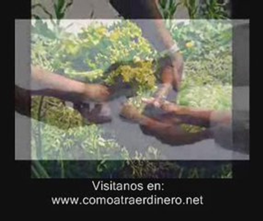Pelicula El secreto,ley de la atraccion,metas ...