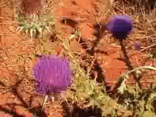 Salento: mare e spiagge del Salento