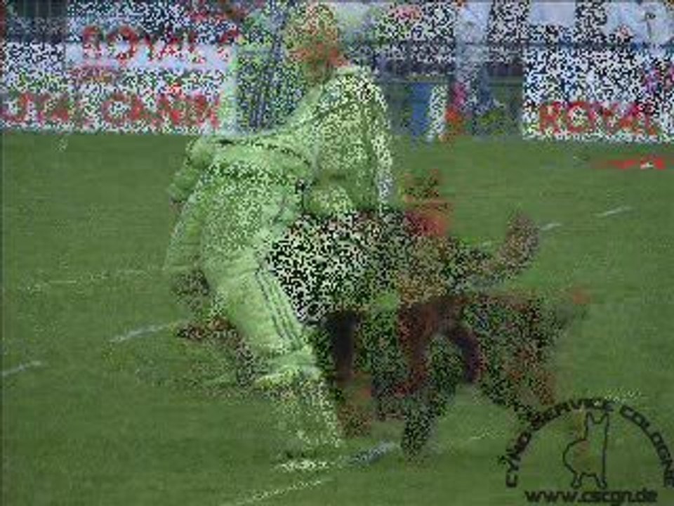 Virus du Musher  championnat de France en Ring 2009