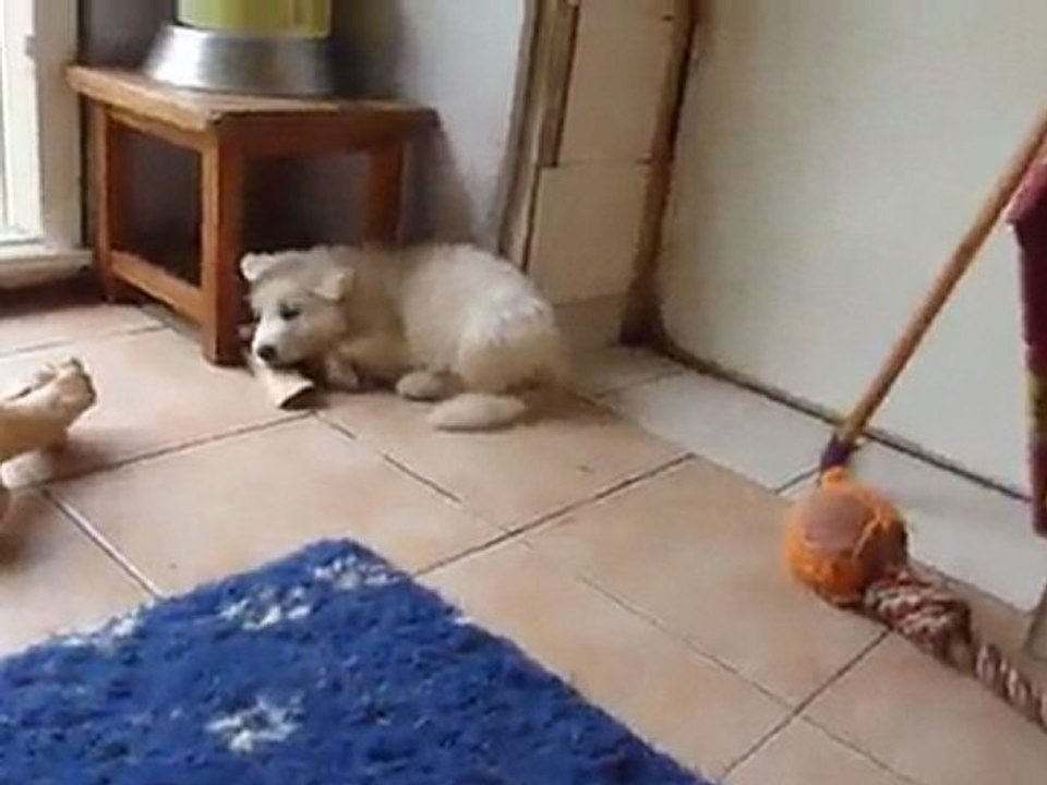 Bébés Daelynn &  Heaven