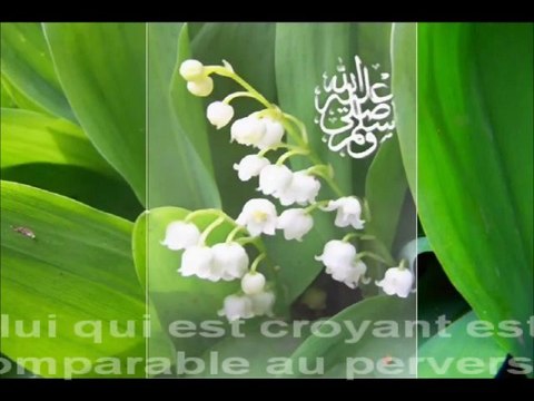 recitation par Sheikh Saoud Shuraim sourate As-Sajda