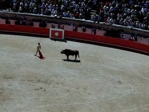 Enrique Ponce - Nîmes 2011