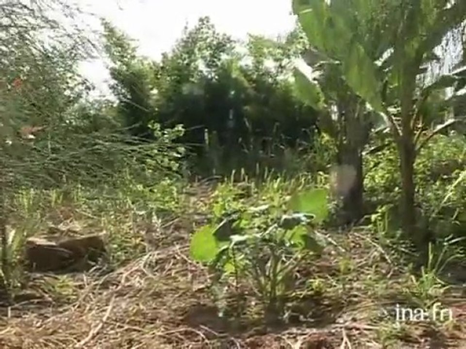 Modification du climat en Thaïlande !