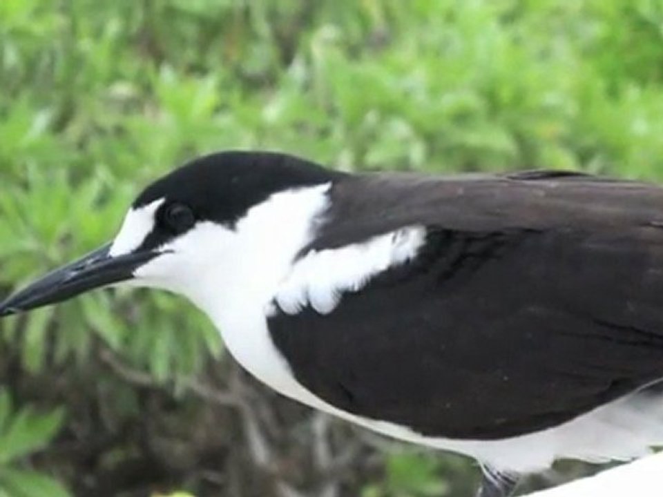 Eco-Tourism  Seychelles