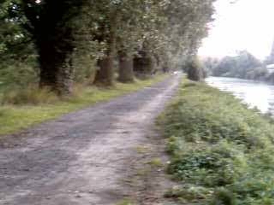 pro race pas réglé