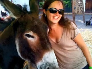 Asnieres Awards 2011 le film