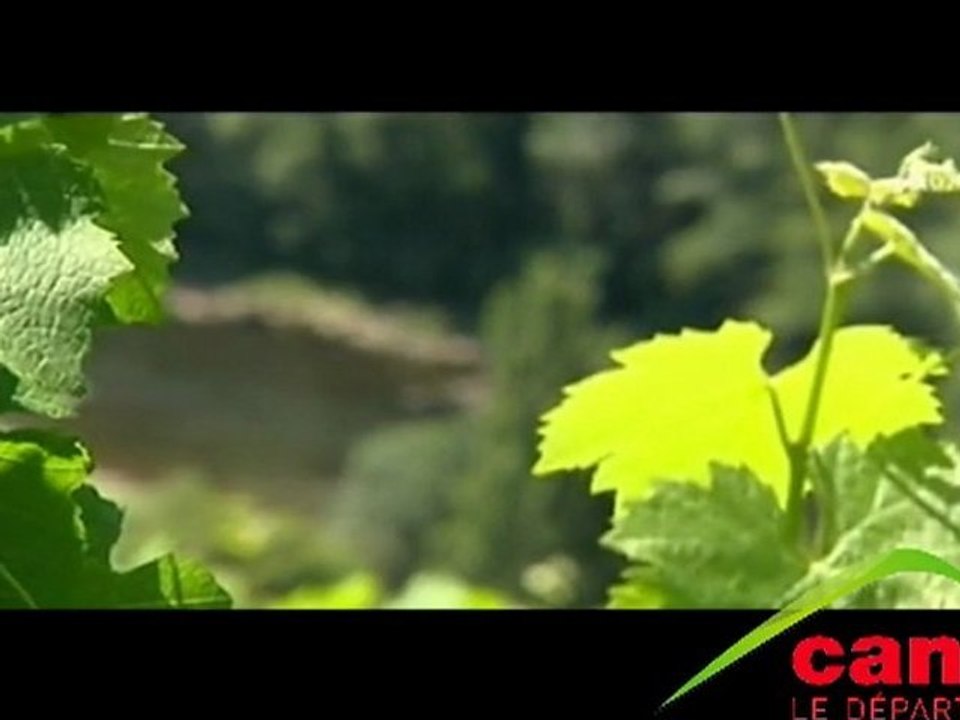 Les vins et vignobles sur terroir d'Entraygues et du Fel