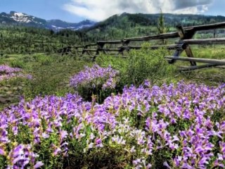 10 Luoghi Spettacolari - Yellowstone Park - Stai Uniti d'America