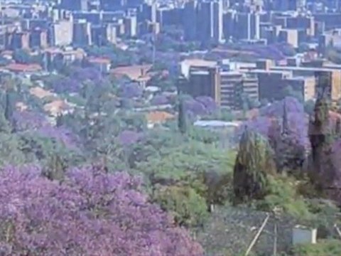 Football World Cup 2010 - Pretoria - South Africa