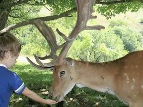 Abruzzo National Park _ Italy
