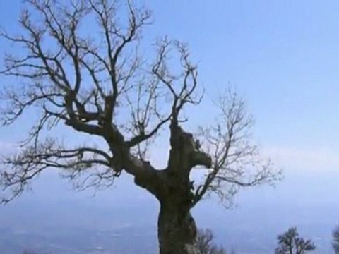 Mount Pollino - Basilicata Region - Italy