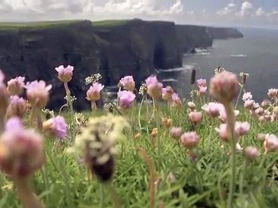 Cliffs of Moher - Ireland