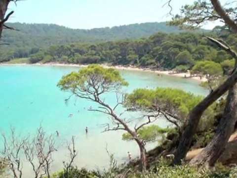 Ile de Porquerolles - Provence-Alpes-Côte d'Azur - France