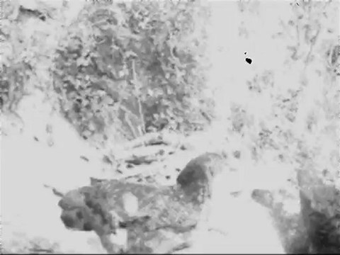 Le DIRTY PROJECT - Opus 4 - ありそうもない - Musique concrète - Art Contemporain - musée