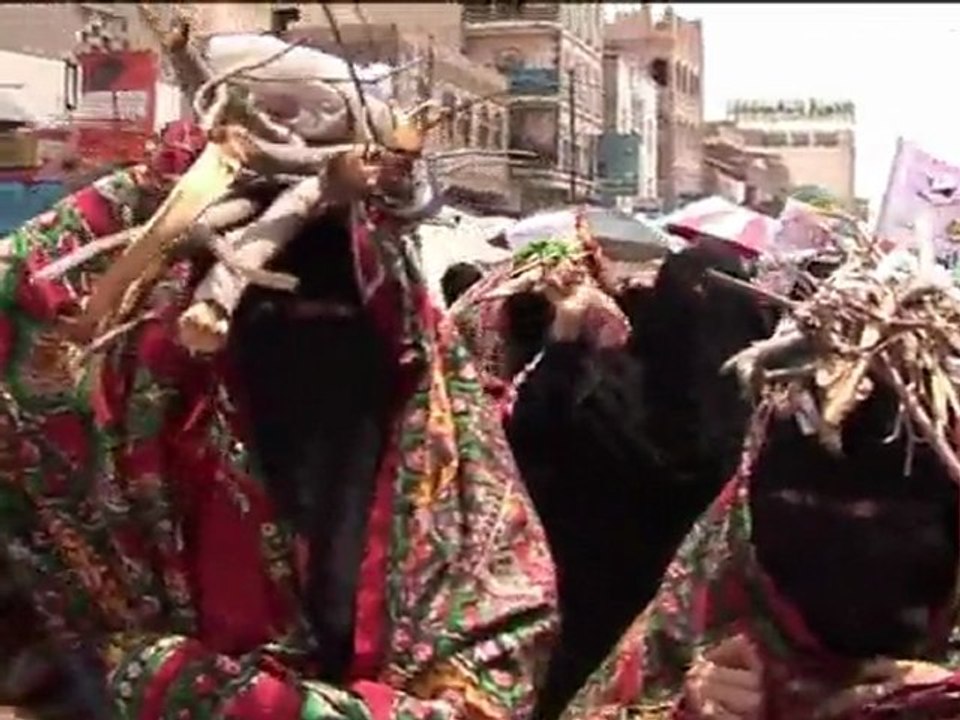 Les députés EELV soutiennent Joly, malgré une "maladresse"