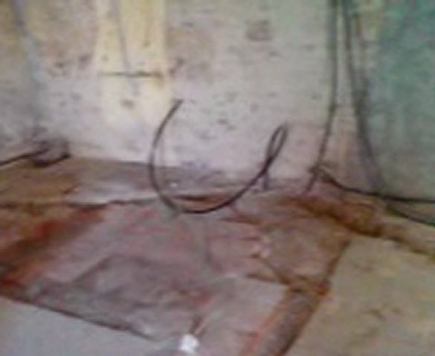 avancement salon salle de séjour, wc/salle de bain le 02/07/2011