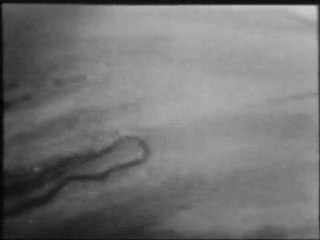 الدكتور مصطفى محمود معجزة الكلى