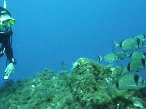 Perturbation dans un banc de sars