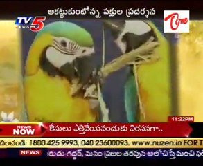 Birds Exhibition @ Kolkata