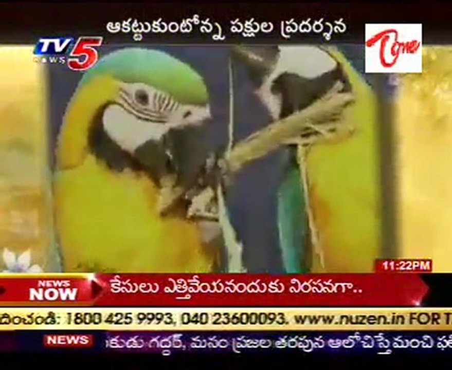 Birds Exhibition @ Kolkata
