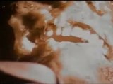 Massacre à la tronçonneuse (1974) - bande annonce