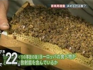 原発建設の是非は誰が決める？／旧巻町・上関町・玄海町