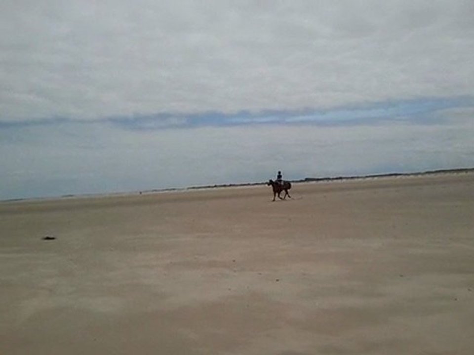 premier Petit galop sur la plage 2