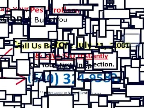 Lawn Company Staunton|How To Control Mosquitoes