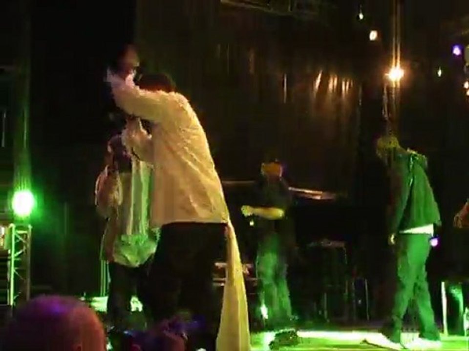 [FREE MUSIC FESTIVAL 2011 EN LIVE] Wu Tang Clan