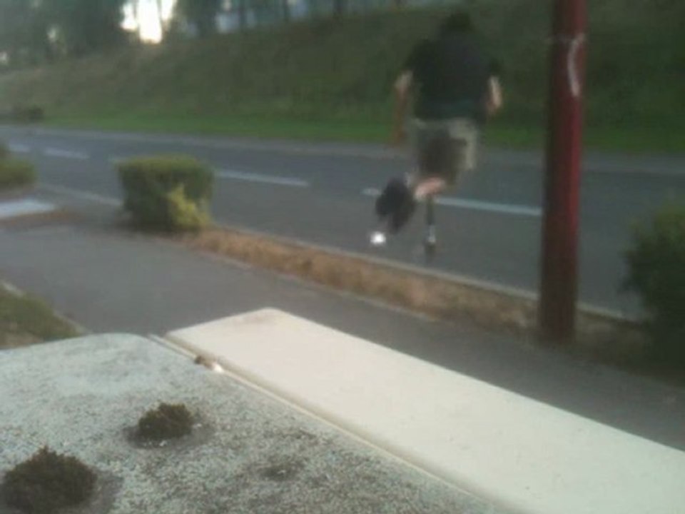 L'oiseau est le mot !